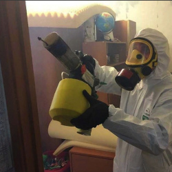 Уничтожение клопов в квартире. Лотошино